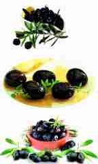 Ayla Gemlik XL Siyah Zeytin 1 Kg